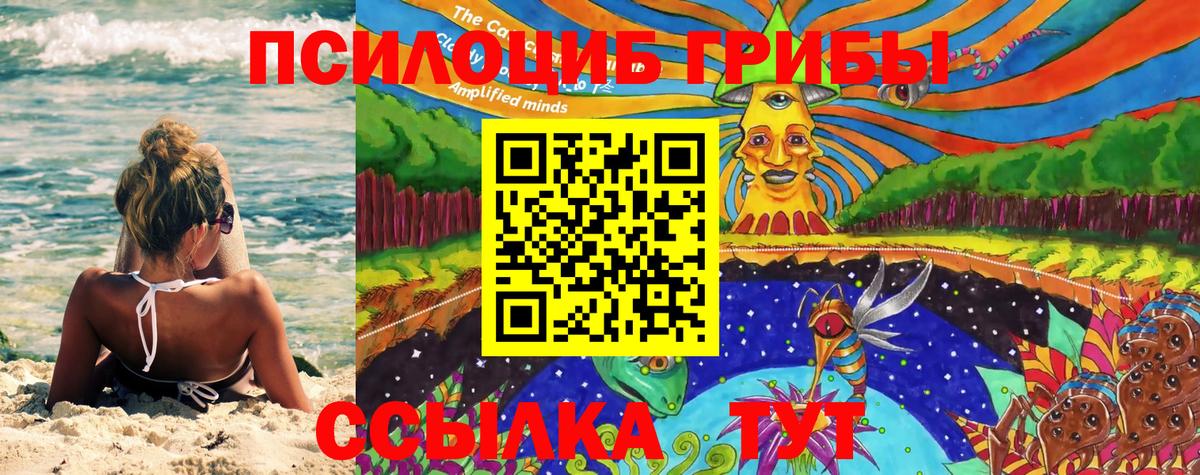 Галлюциногенные грибы Magic Shrooms Щёлково
