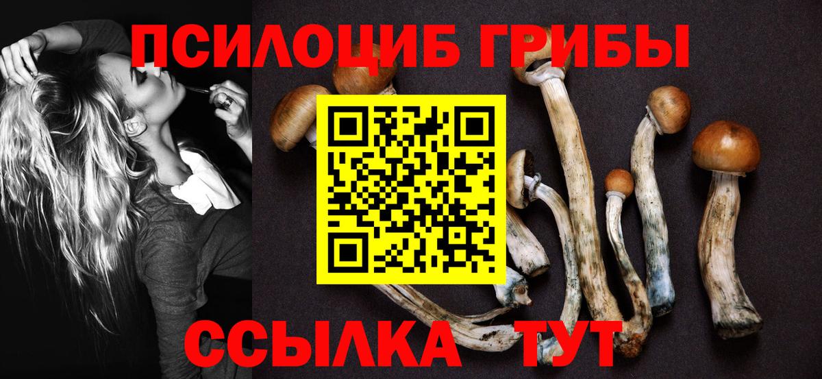 Щёлково  Псилоцибиновые грибы GOLDEN TEACHER  Галлюциногенные грибы MAGIC MUSHROOMS  где найти наркотики  Вход с VPN 